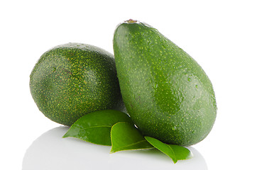 Image showing Avocados on white 