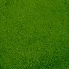 Image showing Green leather texture closeup