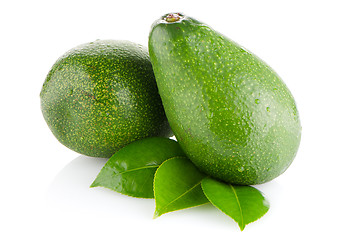 Image showing Avocados on white 