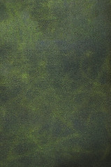 Image showing Green leather texture closeup