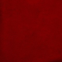 Image showing Red leather 