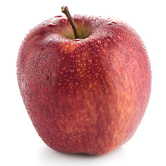 Image showing Red apple