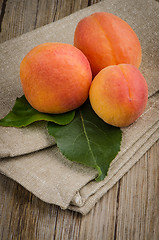 Image showing Apricots with leaves