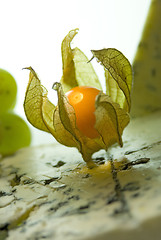 Image showing Physalis & blue cheese