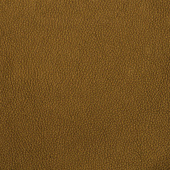 Image showing Golden color leather