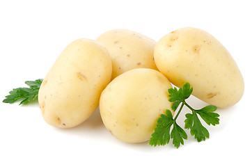 Image showing New potatoes and green parsley