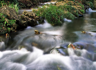 Image showing Rapids