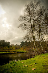 Image showing River in early autumn