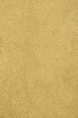 Image showing Golden color leather