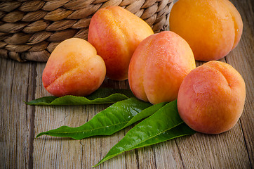 Image showing Apricots with leaves