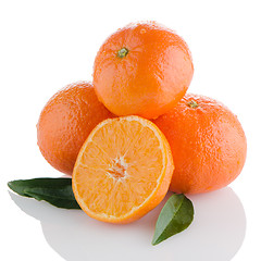 Image showing Tangerines