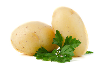 Image showing New potatoes and green parsley