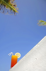 Image showing Tropical Drink and Palms