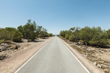 Image showing Straight road leading into the horizon