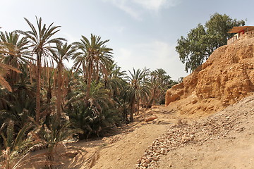Image showing oasis of the desert