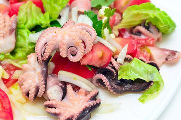 Image showing octopus salad