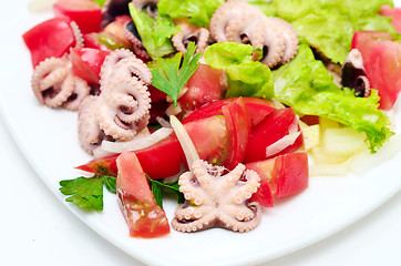 Image showing octopus salad