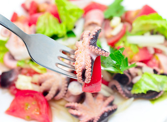 Image showing octopus salad