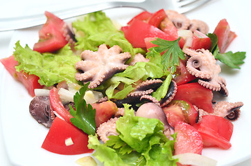 Image showing octopus salad