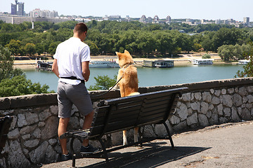 Image showing Akita inu