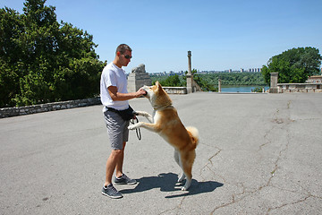 Image showing Akita inu