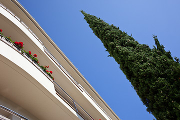 Image showing hotel and a thuja