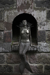 Image showing Mermaid