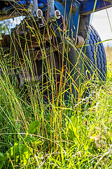 Image showing old trailer hidden in the grass