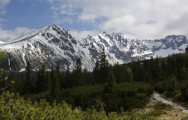 Image showing Tatry