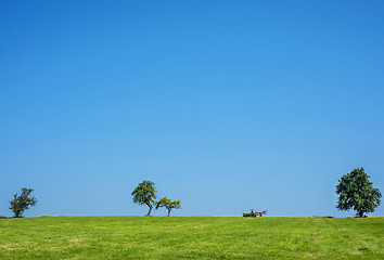 Image showing Trecker within trees