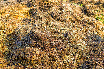 Image showing dung hill