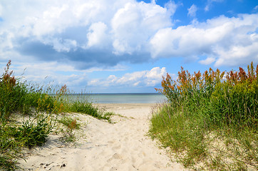 Image showing Path to the beach