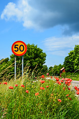 Image showing Road sign at summer flowers