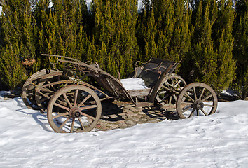 Image showing vintage wooden carriage snow winter thuja plants 