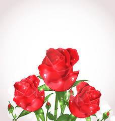 Image showing Three roses for design wedding card