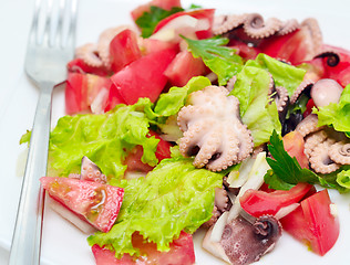 Image showing octopus salad