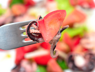 Image showing octopus salad