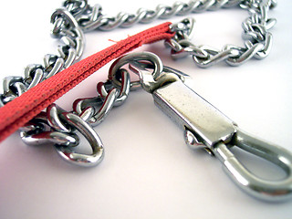 Image showing dog leash