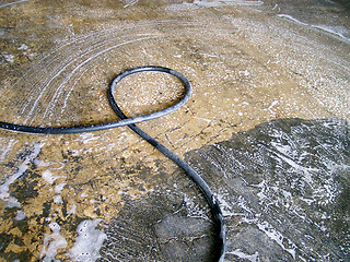 Image showing floor being washed