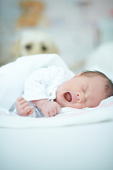 Image showing Labrador watching at seeping Baby