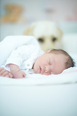 Image showing Dog Guarding Sleeping Baby