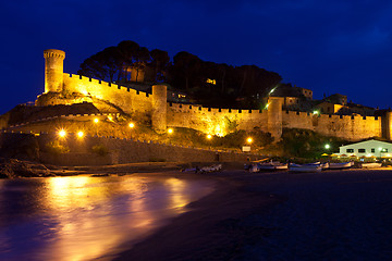 Image showing old fortress on the coast