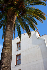 Image showing Mediterranean architecture and vegetation