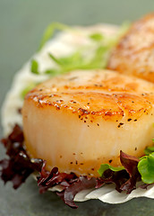 Image showing Sea Scallop with greens in a scallop shell