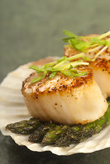 Image showing Sea Scallop with asparagus in a scallop shell