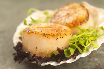 Image showing Sea Scallop with greens in a scallop shell