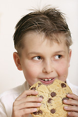 Image showing Moster cookie