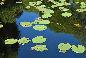 Image showing Blue Pond