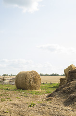 Image showing Golden Hay Bales in the countryside