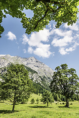 Image showing Trees and sunlight in Austria Alps Hinterriss